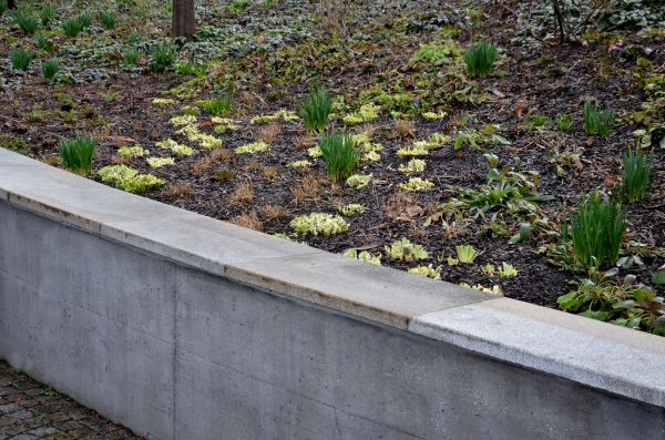 Concrete Wall Construction in Redwood City