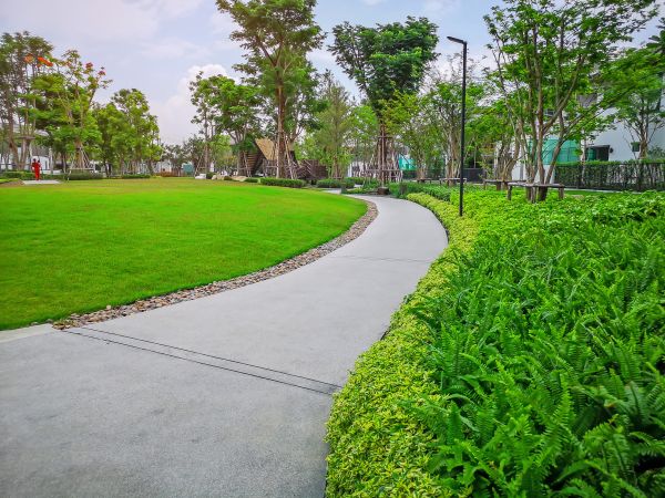 Cement Walkway Service in Redwood City